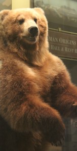 Photographed at Smithsonian National Museum of Natural History.