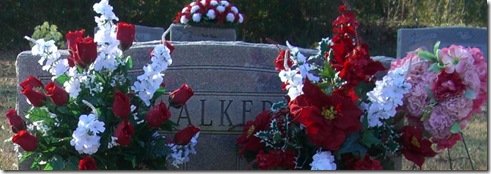 Pictures from my camera 016 - Copy