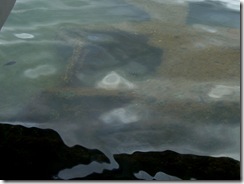 Looking down on USS Arizona - Copy