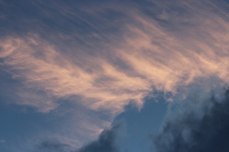 An open heart is an open mind. ----Dalai Lama XIV