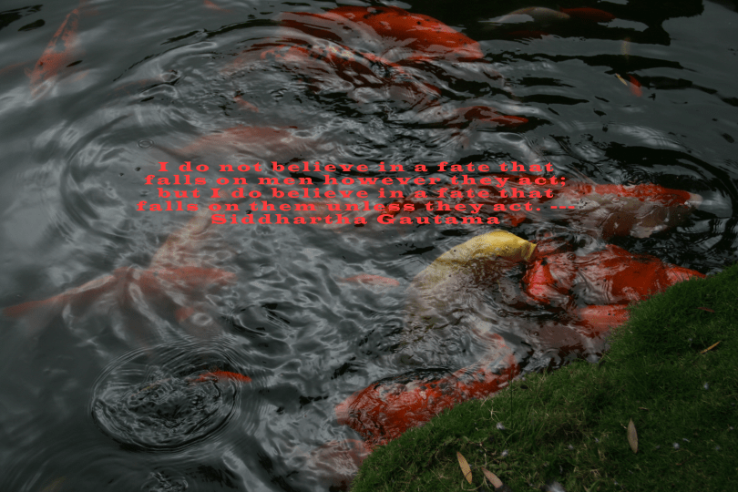 I do not believe in a fate that falls on men however they act; but I do believe in a fate that falls on them unless they act. --- Siddhartha Gautama