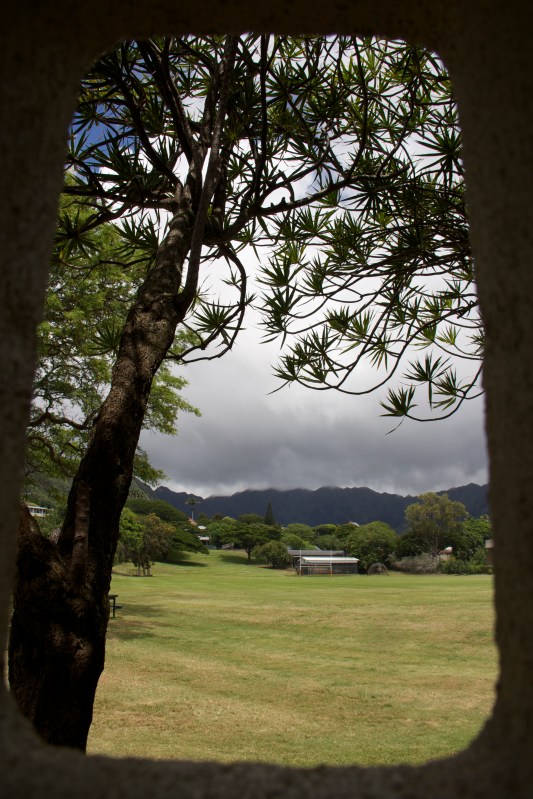 Just before the early afternoon rain. 