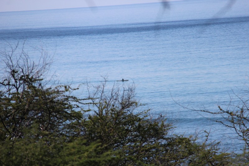 Looks can be deceiving. 