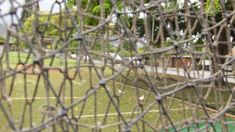 Look whose in the batting cage. 