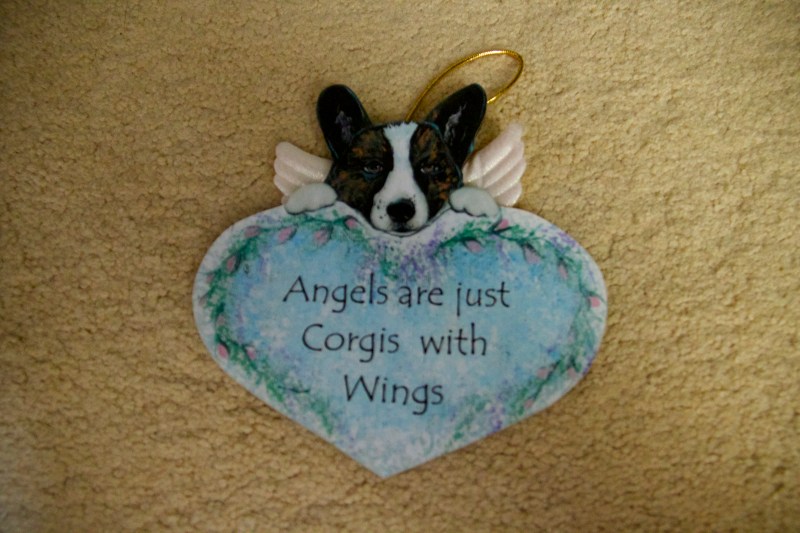 I brought this ornament for our corgi's first Christmas. 