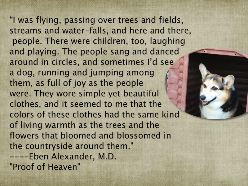 Now he is a real angel. 